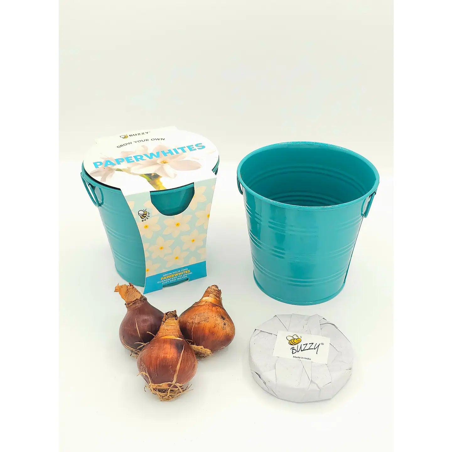 Holiday Winter Paperwhite Flower Grow Pail