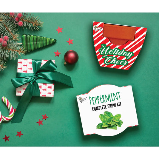 Holiday Candy Cane Mini Terracotta Pot Kit