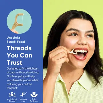 Floss - Eco-Friendly Picks | Mint | Pfa Free (4 pack)