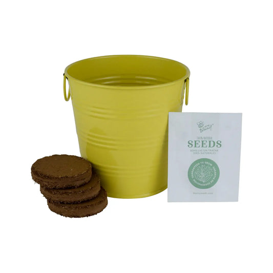 Sunflower Grow Kit