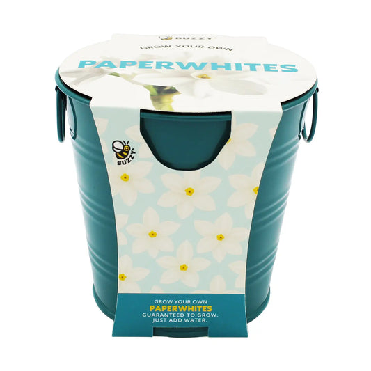 Holiday Winter Paperwhite Flower Grow Pail