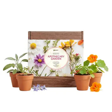 Apothecary Garden Wellness Kit [9 Herb & Flower Seeds]