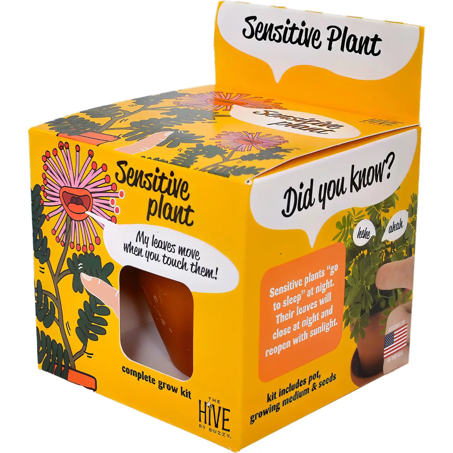 Sensitive Plant Grow Kit [Mimosa Pudica]