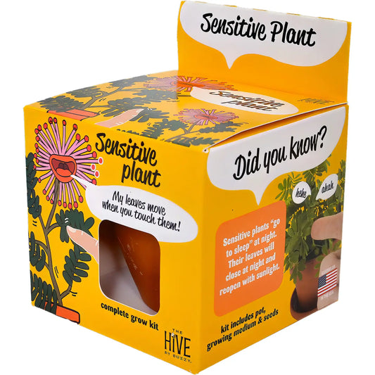 Sensitive Plant Grow Kit [Mimosa Pudica]