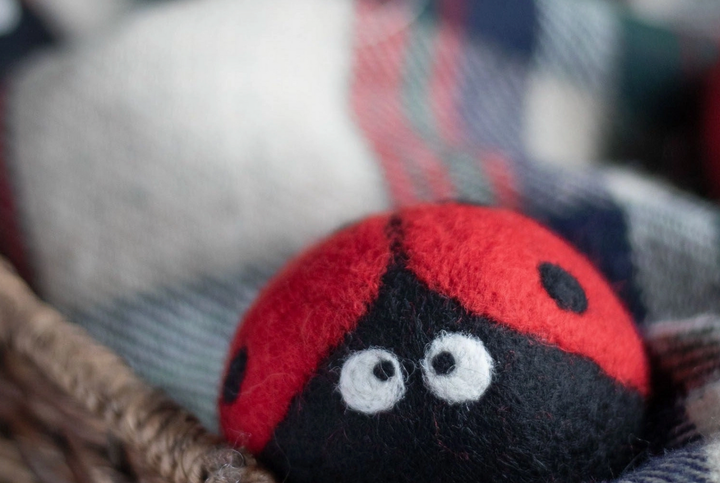 Wool Dryer Balls - Ladybug
