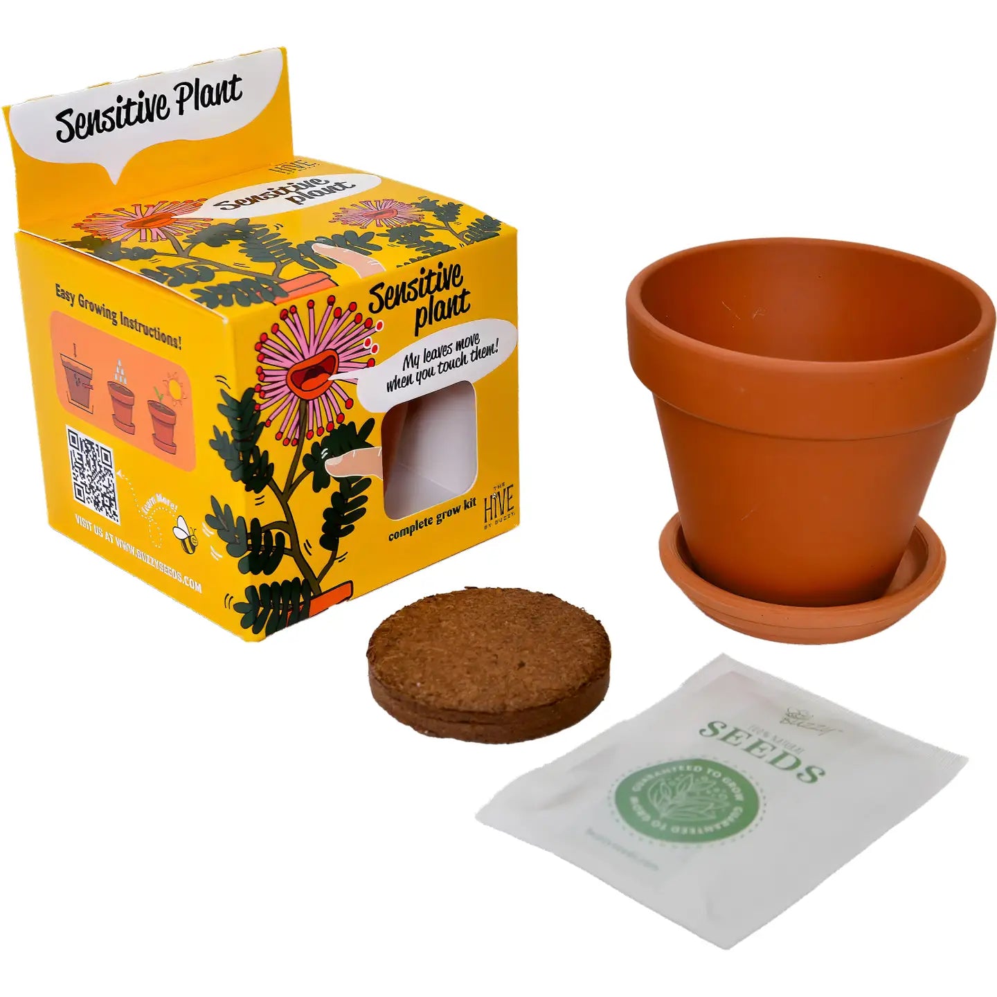 Sensitive Plant Grow Kit [Mimosa Pudica]