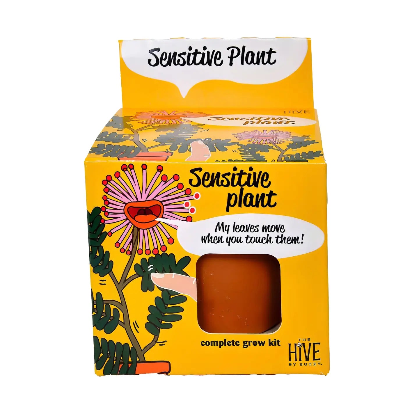 Sensitive Plant Grow Kit [Mimosa Pudica]
