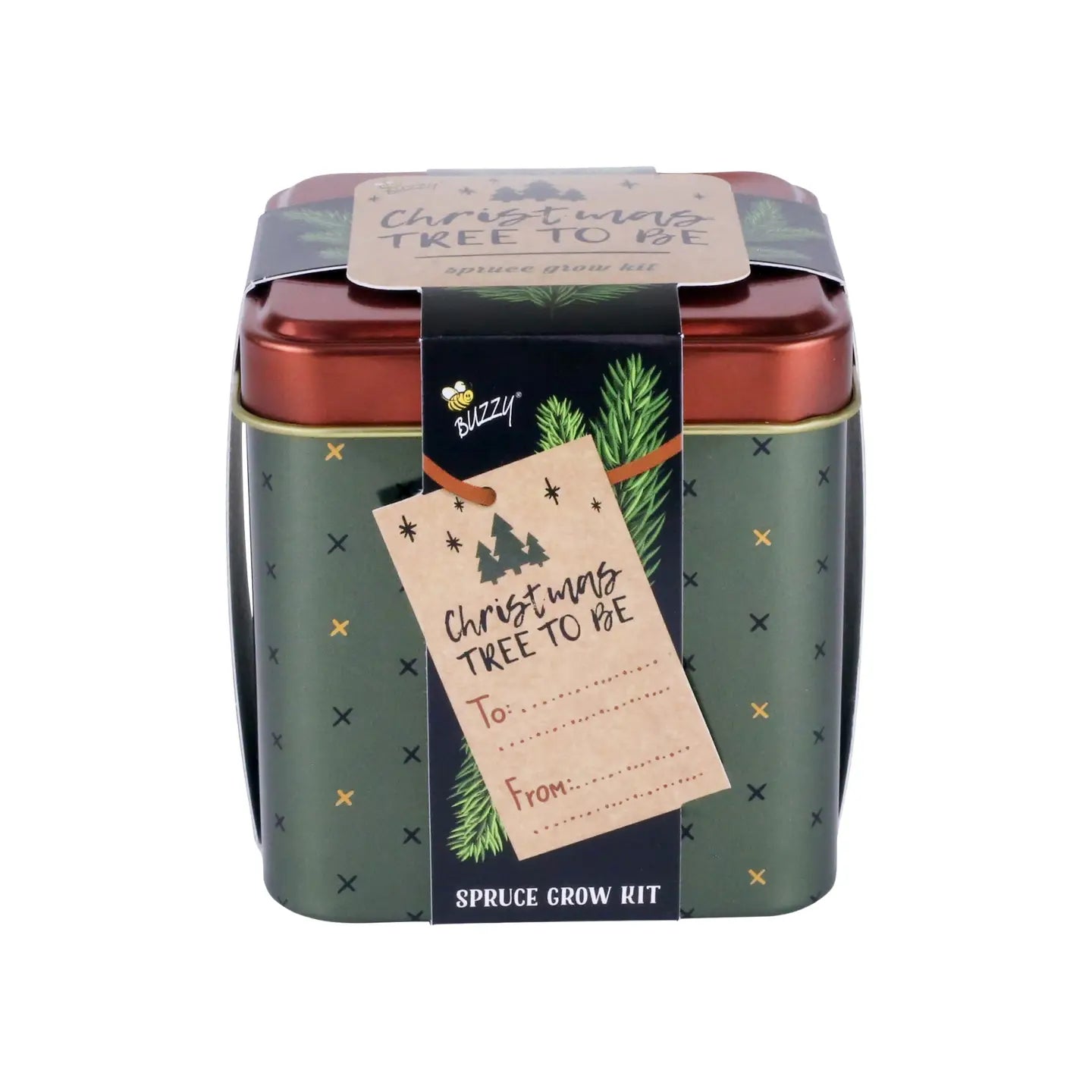 Spruce Grow Kit | Christmas Tree