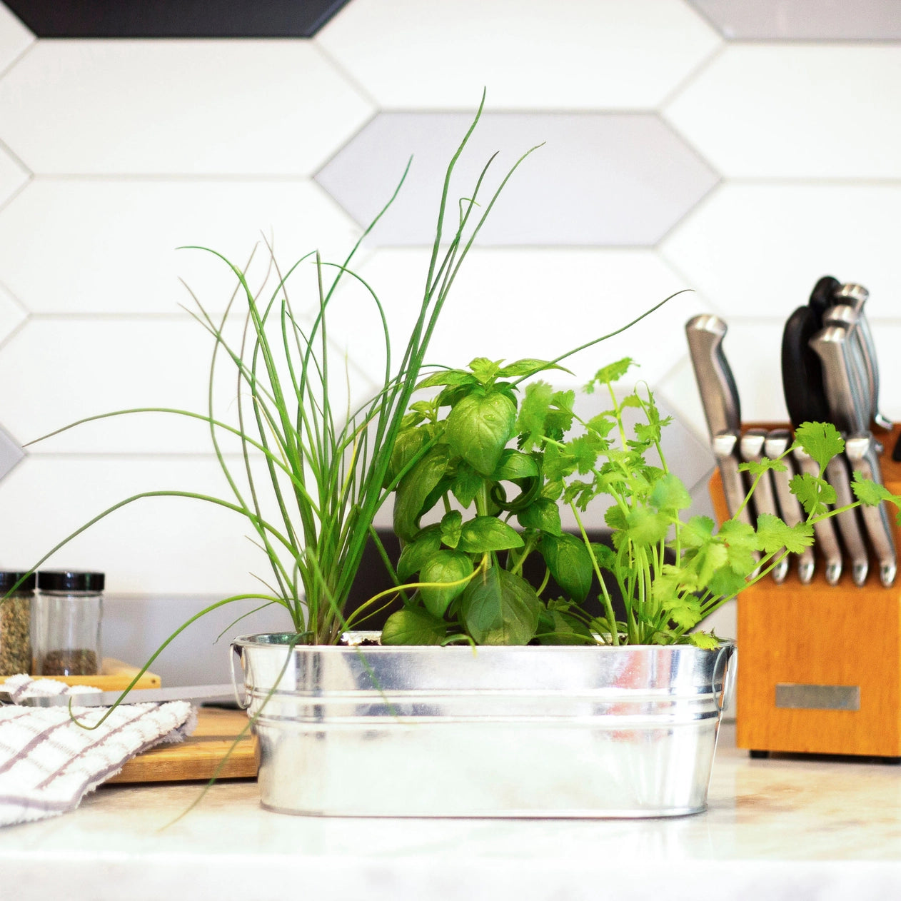 Galvanized Windowsill Herb Grow Kit