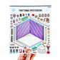 Tinytown Sticker Sheets: Floats & Fries